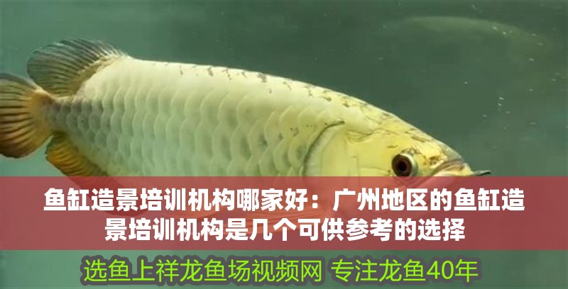 魚缸造景培訓機構哪家好：廣州地區的魚缸造景培訓機構是幾個可供參考的選擇