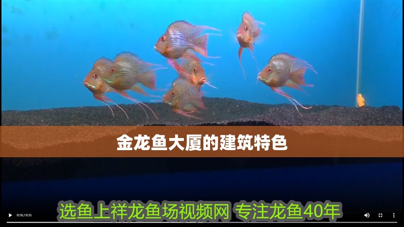 金龍魚大廈的建筑特色