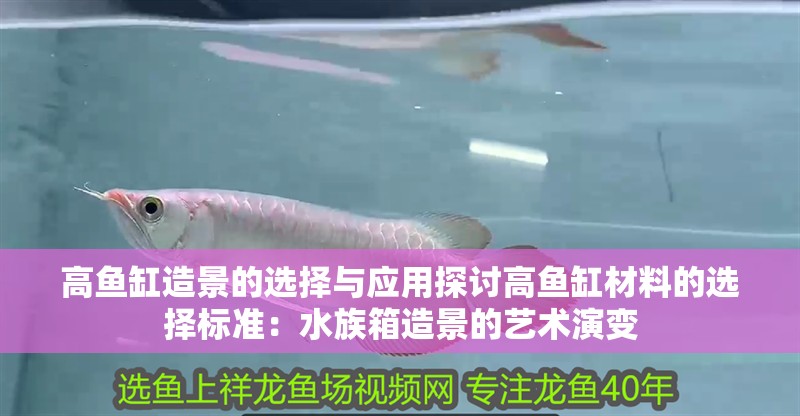高魚缸造景的選擇與應用探討高魚缸材料的選擇標準：水族箱造景的藝術演變