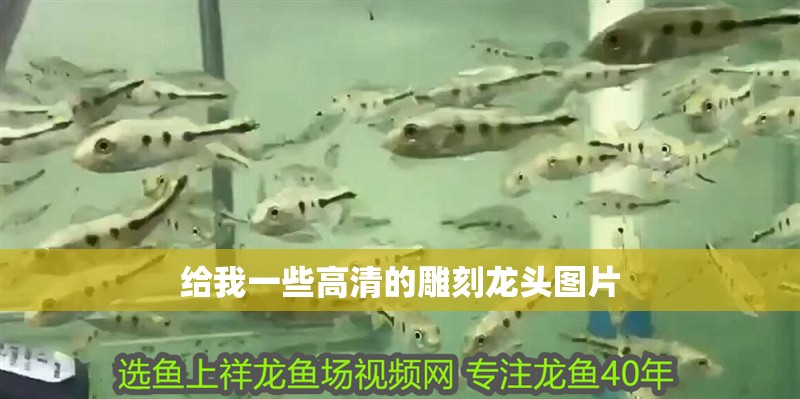 給我一些高清的雕刻龍頭圖片