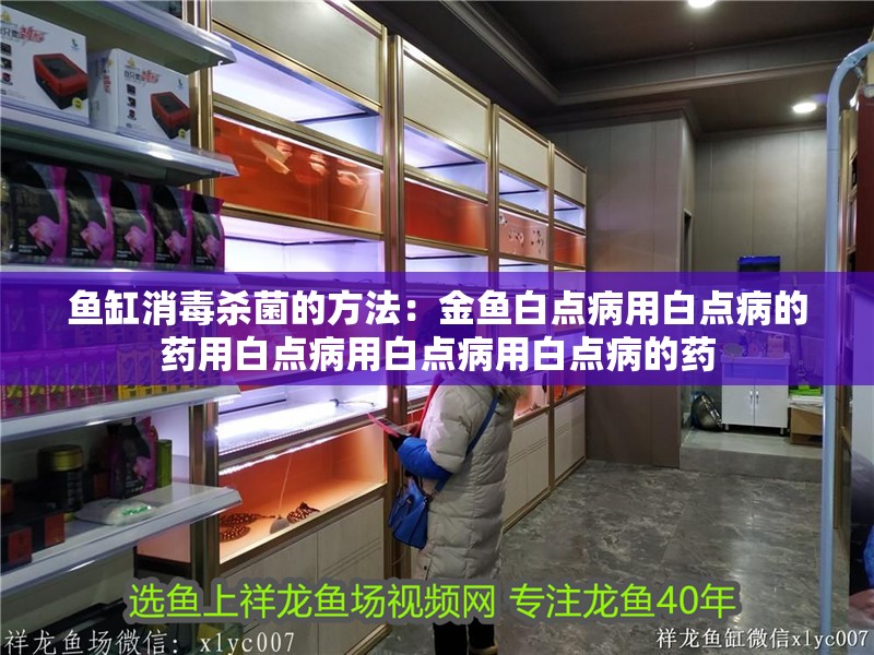 魚缸消毒殺菌的方法：金魚白點病用白點病的藥用白點病用白點病用白點病的藥