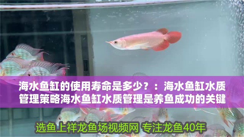 海水魚缸的使用壽命是多少？：海水魚缸水質管理策略海水魚缸水質管理是養魚成功的關鍵之一