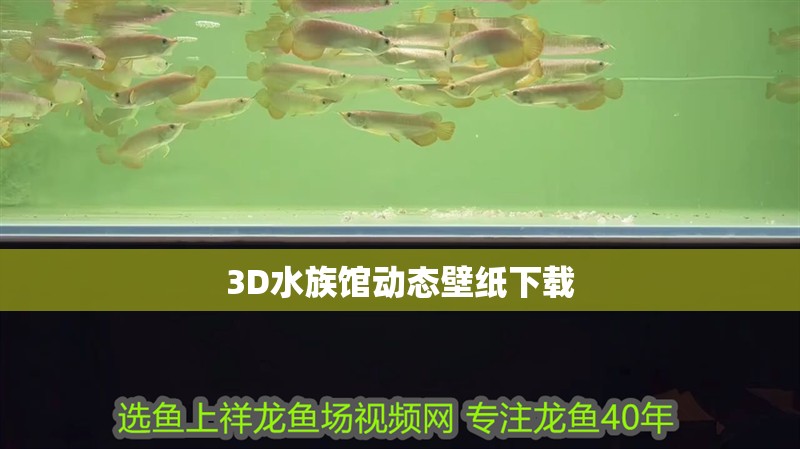 3D水族館動態壁紙下載