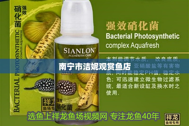 南寧市潔妮觀賞魚(yú)店 南寧市潔妮觀賞魚(yú)店 全國(guó)水族館企業(yè)名錄