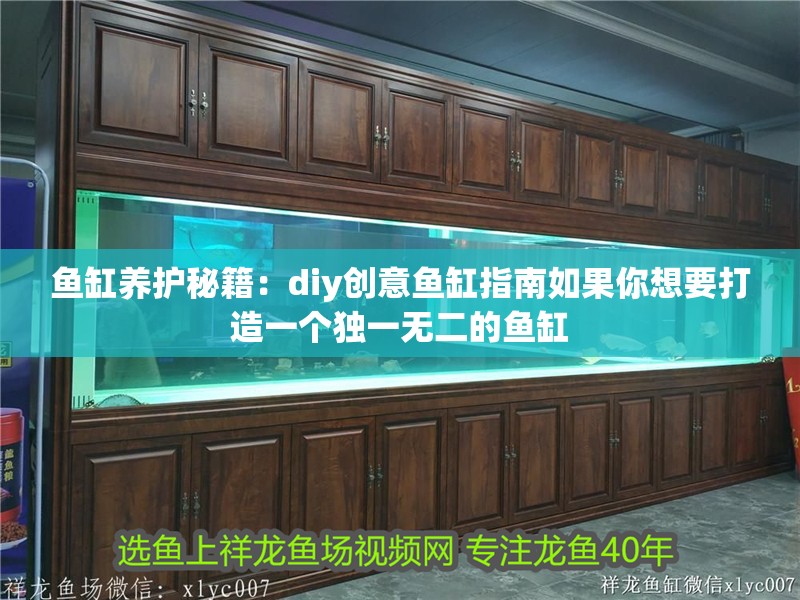魚缸養護秘籍：diy創意魚缸指南如果你想要打造一個獨一無二的魚缸