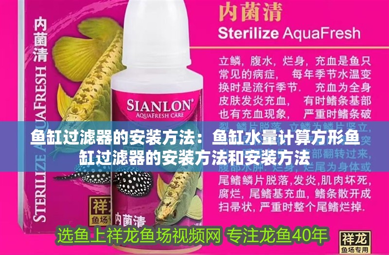 魚缸過(guò)濾器的安裝方法：魚缸水量計(jì)算方形魚缸過(guò)濾器的安裝方法和安裝方法 魚缸過(guò)濾器的安裝方法：魚缸水量計(jì)算方形魚缸過(guò)濾器的安裝方法和安裝方法 魚缸百科