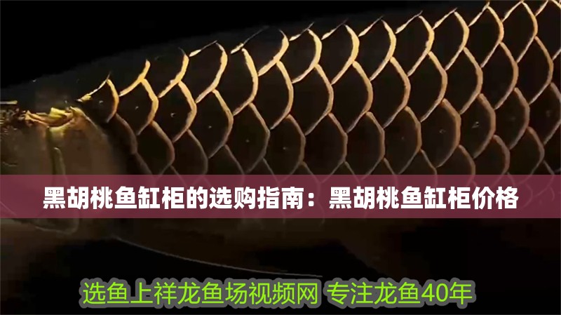 黑胡桃魚缸柜的選購指南：黑胡桃魚缸柜價格