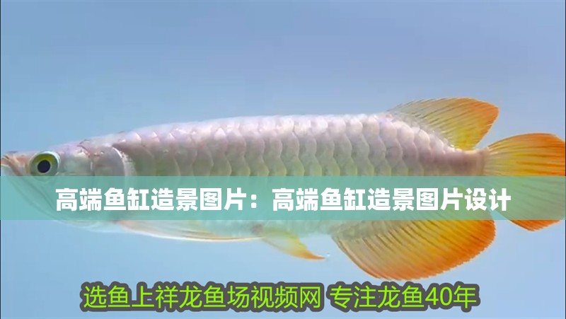 高端魚缸造景圖片：高端魚缸造景圖片設計
