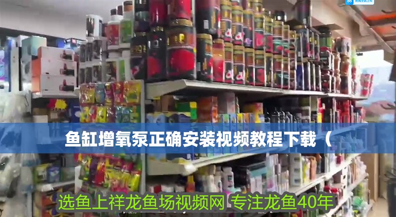 魚缸增氧泵正確安裝視頻教程下載（