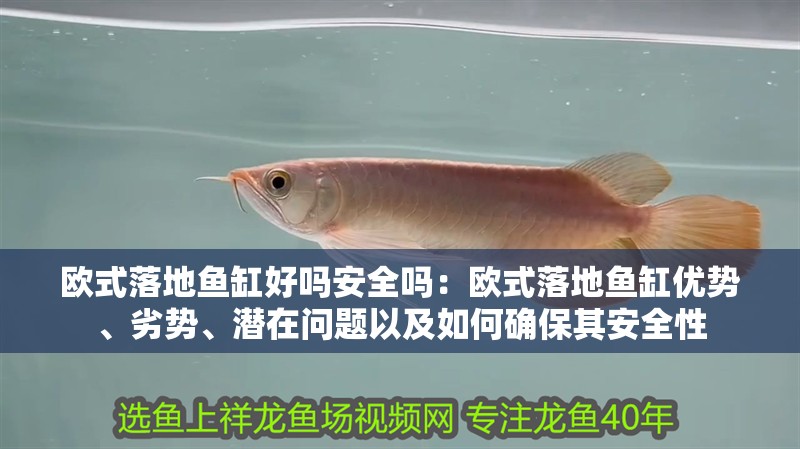歐式落地魚缸好嗎安全嗎：歐式落地魚缸優勢、劣勢、潛在問題以及如何確保其安全性