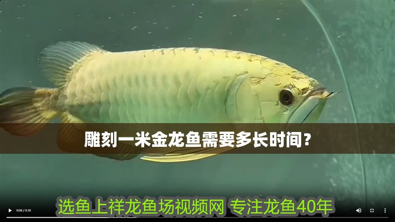 雕刻一米金龍魚需要多長時間？