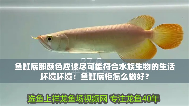 魚缸底部顏色應該盡可能符合水族生物的生活環境環境：魚缸底柜怎么做好？
