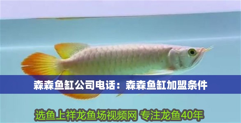 森森魚缸公司電話：森森魚缸加盟條件
