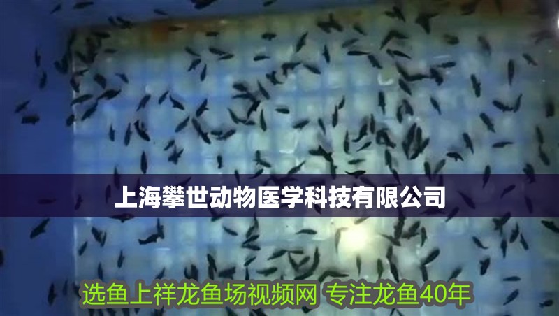 上海攀世動物醫學科技有限公司