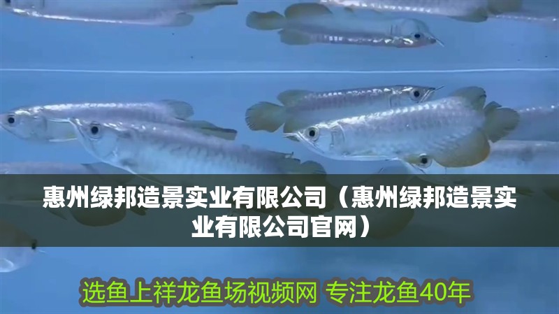 惠州綠邦造景實(shí)業(yè)有限公司（惠州綠邦造景實(shí)業(yè)有限公司官網(wǎng)）