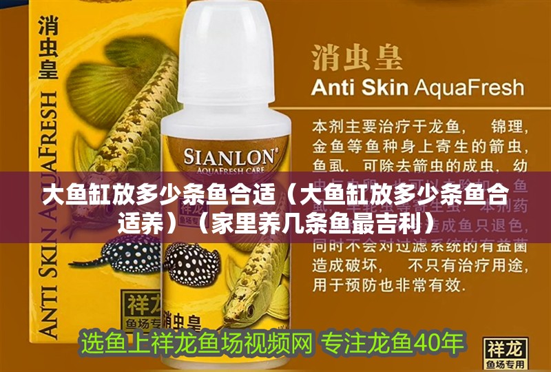 大魚缸放多少條魚合適（大魚缸放多少條魚合適養）（家里養幾條魚最吉利）