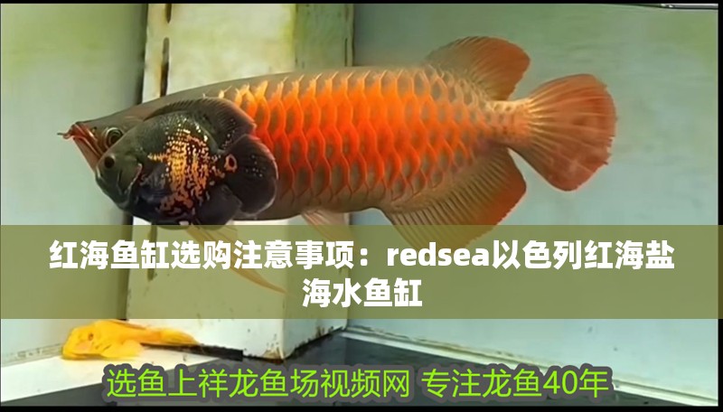 紅海魚缸選購注意事項：redsea以色列紅海鹽海水魚缸