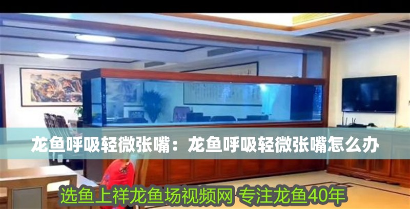 龍魚呼吸輕微張嘴：龍魚呼吸輕微張嘴怎么辦