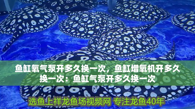 魚缸氧氣泵開多久換一次，魚缸增氧機開多久換一次：魚缸氣泵開多久換一次