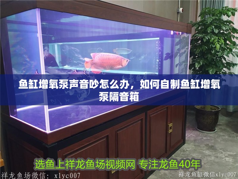 魚缸用增氧泵價格是多少:魚缸增氧機-xtrac增氧機-xtrac增氧機 魚缸增氧泵聲音吵怎么辦,如何自制魚缸增氧泵隔音箱 龍魚百科 魚缸增氧泵聲音吵怎么辦,如何自制魚缸增氧泵隔音箱 魚缸增氧泵聲音吵怎么辦,如何自制魚缸增氧泵隔音箱 龍魚百科