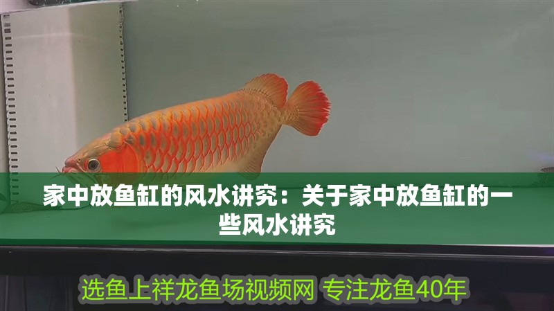家中放魚缸的風水講究：關于家中放魚缸的一些風水講究