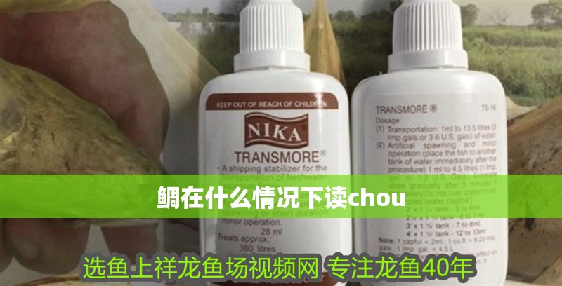 鯛在什么情況下讀chou