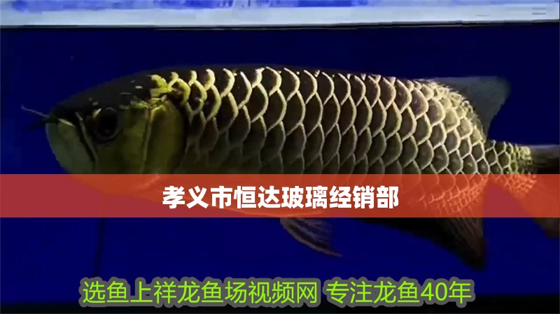 魚缸用增氧泵價(jià)格是多少:魚缸增氧機(jī)-xtrac增氧機(jī)-xtrac增氧機(jī) 孝義市恒達(dá)玻璃經(jīng)銷部 全國水族館企業(yè)名錄 孝義市恒達(dá)玻璃經(jīng)銷部 孝義市恒達(dá)玻璃經(jīng)銷部 全國水族館企業(yè)名錄