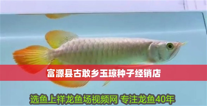 富源縣古敢鄉玉瓊種子經銷店