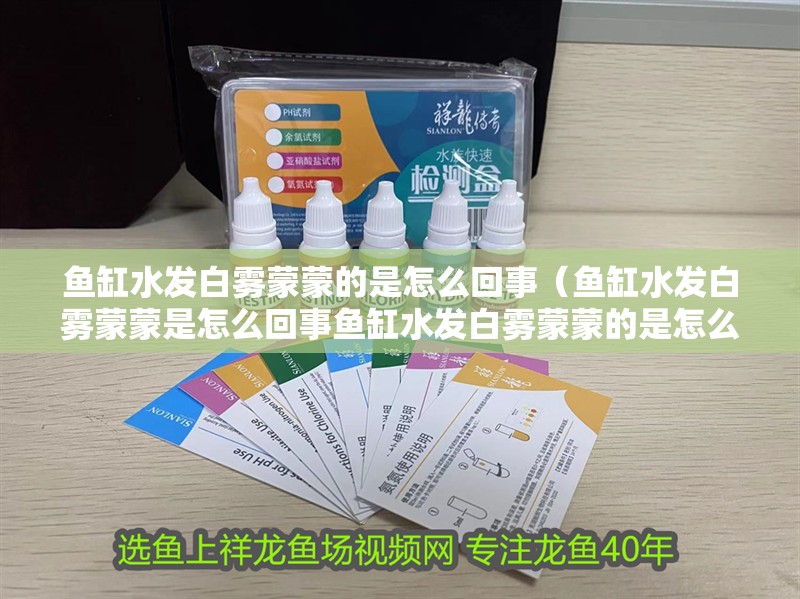 魚缸水發白霧蒙蒙的是怎么回事（魚缸水發白霧蒙蒙是怎么回事魚缸水發白霧蒙蒙的是怎么回事） 魚缸水發白霧蒙蒙的是怎么回事（魚缸水發白霧蒙蒙是怎么回事魚缸水發白霧蒙蒙的是怎么回事） 魚缸百科