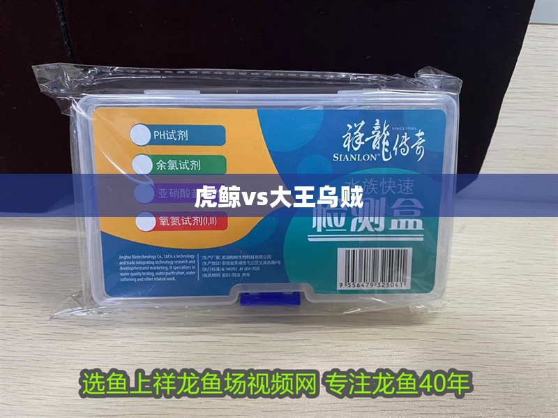 虎鯨vs大王烏賊