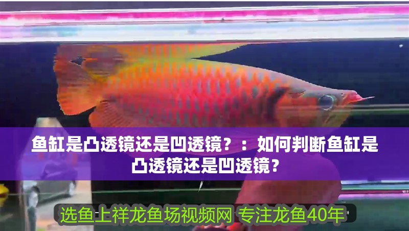 魚缸是凸透鏡還是凹透鏡？：如何判斷魚缸是凸透鏡還是凹透鏡？