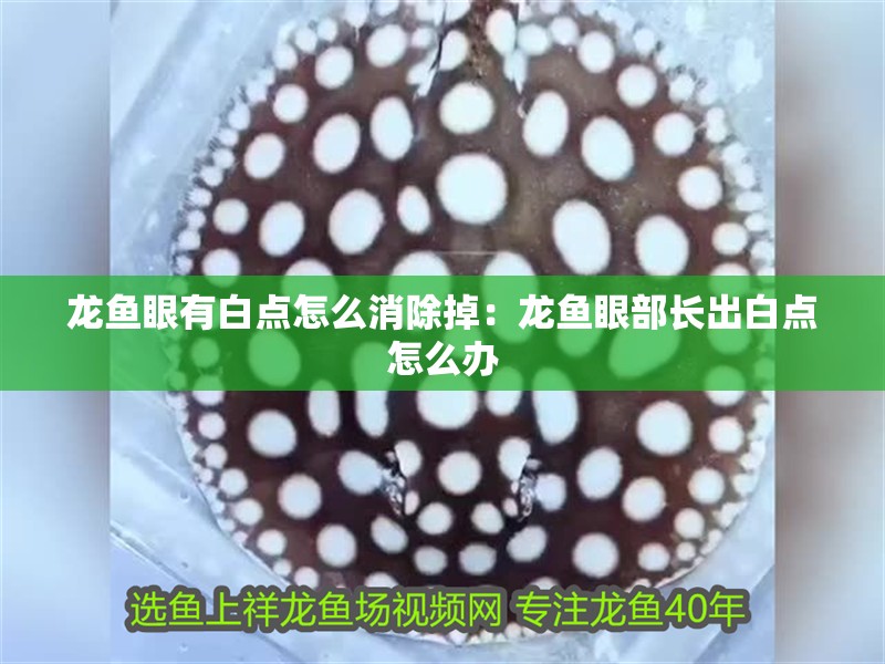 龍魚眼有白點(diǎn)怎么消除掉：龍魚眼部長(zhǎng)出白點(diǎn)怎么辦