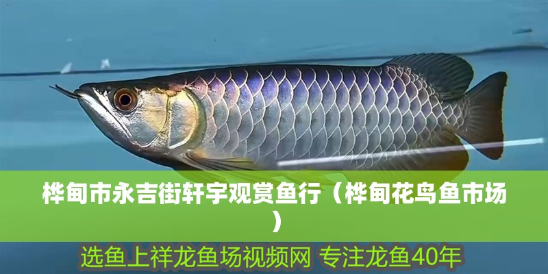 樺甸市永吉街軒宇觀賞魚行（樺甸花鳥魚市場）