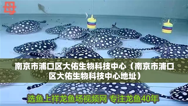 南京市浦口區(qū)大佑生物科技中心（南京市浦口區(qū)大佑生物科技中心地址）