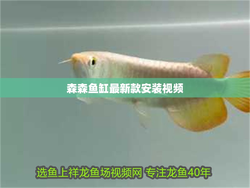 森森魚缸最新款安裝視頻