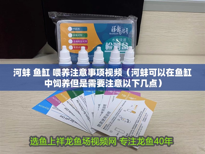 河蚌 魚缸 喂養注意事項視頻（河蚌可以在魚缸中飼養但是需要注意以下幾點）