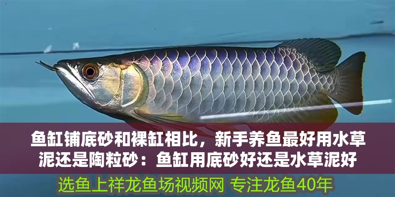 魚缸鋪底砂和裸缸相比，新手養魚最好用水草泥還是陶粒砂：魚缸用底砂好還是水草泥好 魚缸鋪底砂和裸缸相比，新手養魚最好用水草泥還是陶粒砂：魚缸用底砂好還是水草泥好 魚缸百科