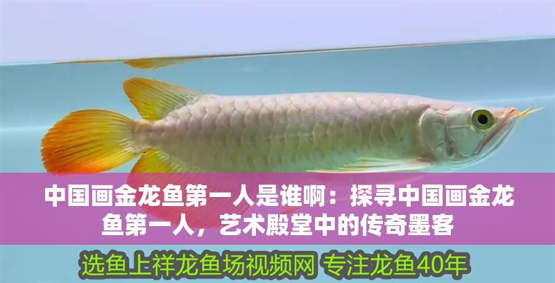 中國畫金龍魚第一人是誰啊：探尋中國畫金龍魚第一人，藝術(shù)殿堂中的傳奇墨客