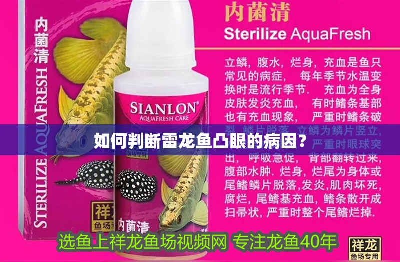 如何判斷雷龍魚凸眼的病因？