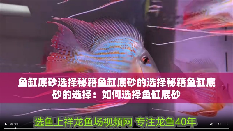 魚缸底砂選擇秘籍魚缸底砂的選擇秘籍魚缸底砂的選擇：如何選擇魚缸底砂