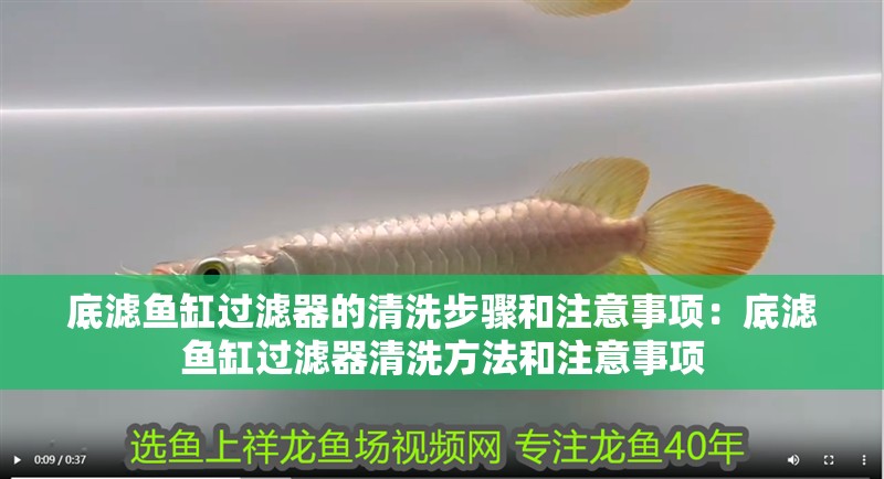 底濾魚缸過濾器的清洗步驟和注意事項(xiàng)：底濾魚缸過濾器清洗方法和注意事項(xiàng)