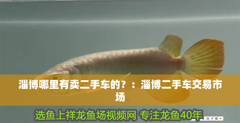 淄博哪里有賣二手車的？：淄博二手車交易市場