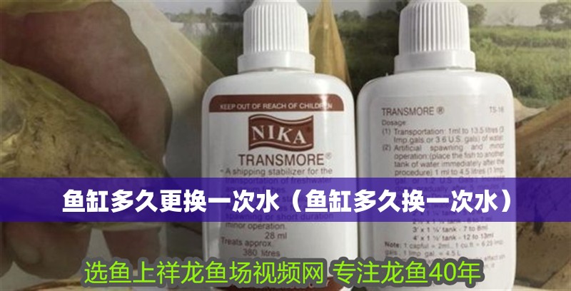 魚缸多久更換一次水（魚缸多久換一次水）