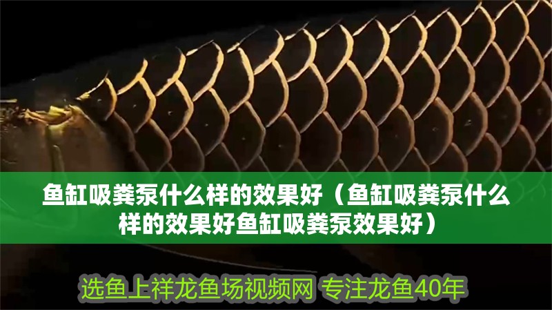 魚缸吸糞泵什么樣的效果好（魚缸吸糞泵什么樣的效果好魚缸吸糞泵效果好）