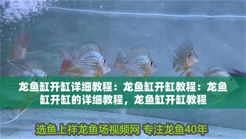 龍魚缸開缸詳細教程：龍魚缸開缸教程：龍魚缸開缸的詳細教程，龍魚缸開缸教程 龍魚缸開缸詳細教程：龍魚缸開缸教程：龍魚缸開缸的詳細教程，龍魚缸開缸教程 魚缸百科