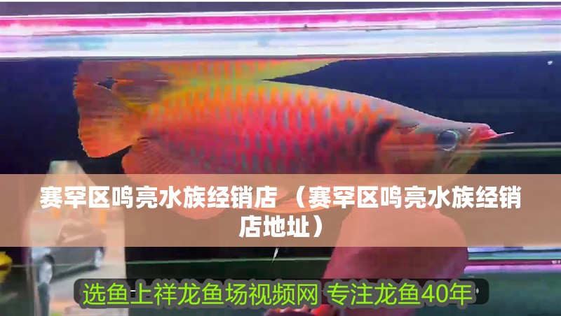 賽罕區鳴亮水族經銷店 （賽罕區鳴亮水族經銷店地址）