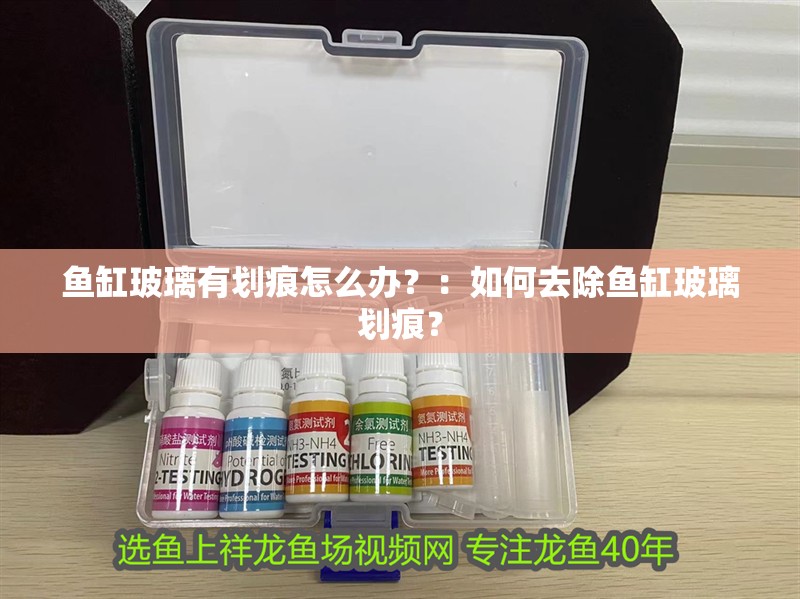 魚缸玻璃有劃痕怎么辦？：如何去除魚缸玻璃劃痕？ 魚缸玻璃有劃痕怎么辦？：如何去除魚缸玻璃劃痕？ 魚缸百科