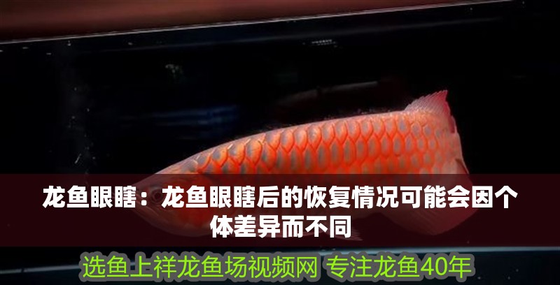 龍魚眼瞎：龍魚眼瞎后的恢復情況可能會因個體差異而不同 龍魚眼瞎：龍魚眼瞎后的恢復情況可能會因個體差異而不同 龍魚百科
