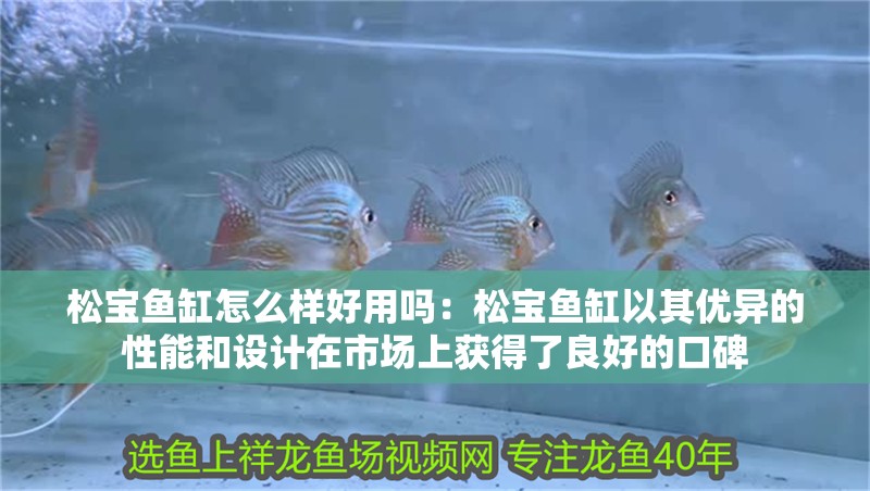 松寶魚缸怎么樣好用嗎：松寶魚缸以其優(yōu)異的性能和設(shè)計在市場上獲得了良好的口碑