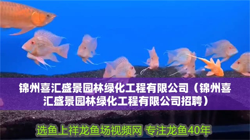 錦州喜匯盛景園林綠化工程有限公司（錦州喜匯盛景園林綠化工程有限公司招聘）